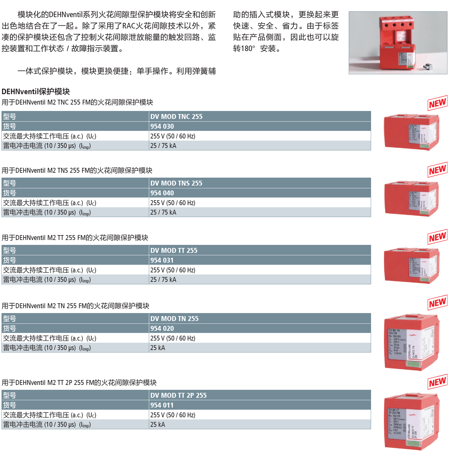 DV MOD TT 255 DEHN復(fù)合型電涌保護(hù)器模塊：高效雷