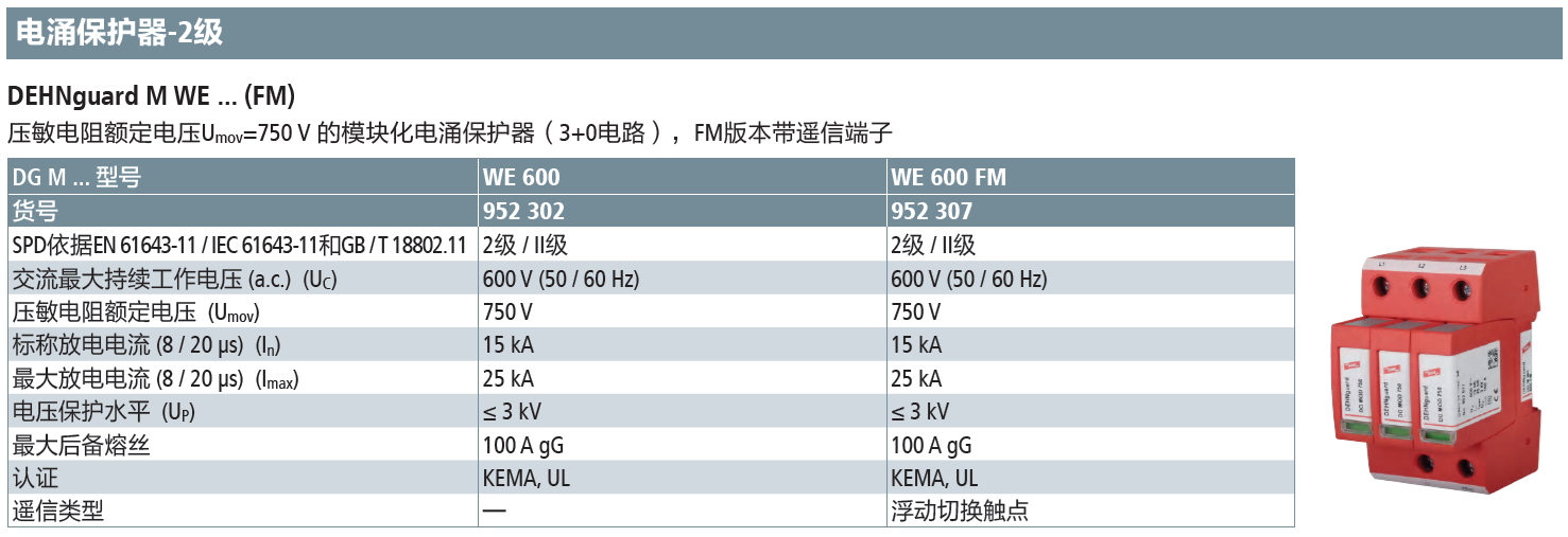 DG M WE 600(952 302)，DG M WE 600 FM(952 307)